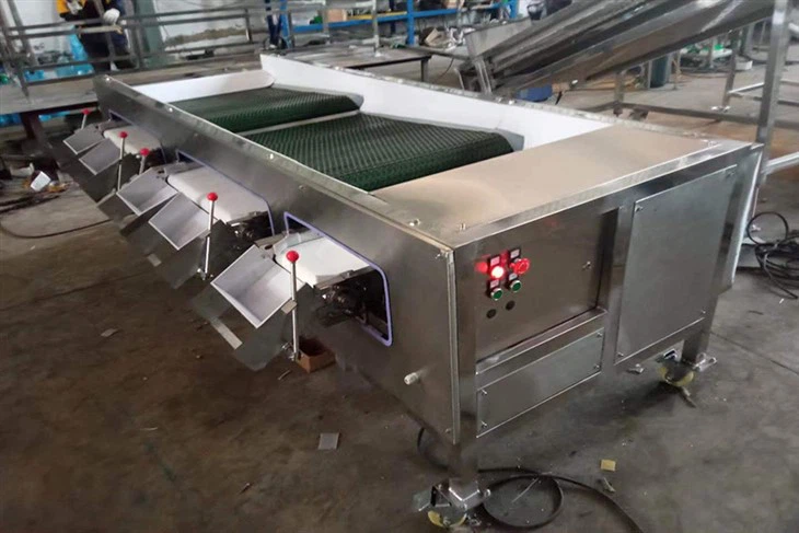 Blueberry Size Sorting Machine