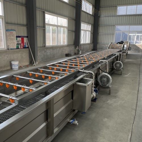 Industrial Fruit Vegetable Washing Machine