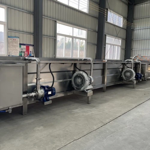 Industrial Fruit Vegetable Washing Machine