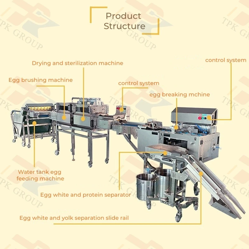 egg washing line 2 egg washing line 2