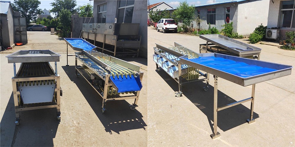 product-1000-500